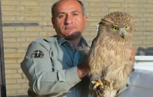 پیام تسلیت رئیس محیط زیست شهرستان چرام در پی شهادت محیط بانی خائیز