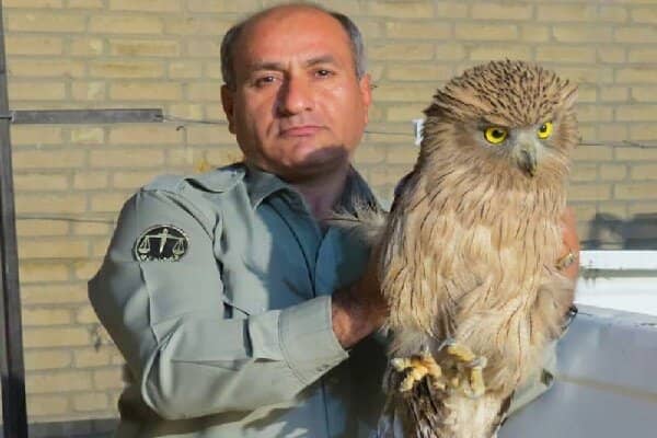 پیام تسلیت رئیس محیط زیست شهرستان چرام در پی شهادت محیط بانی خائیز